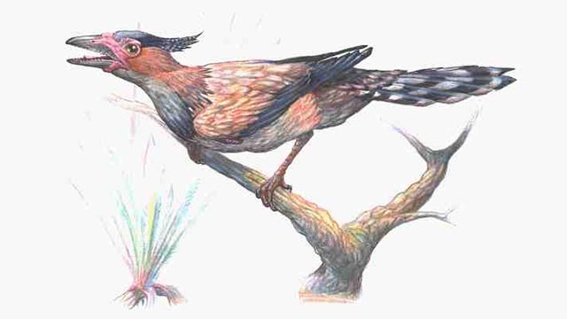 Enantiornithes