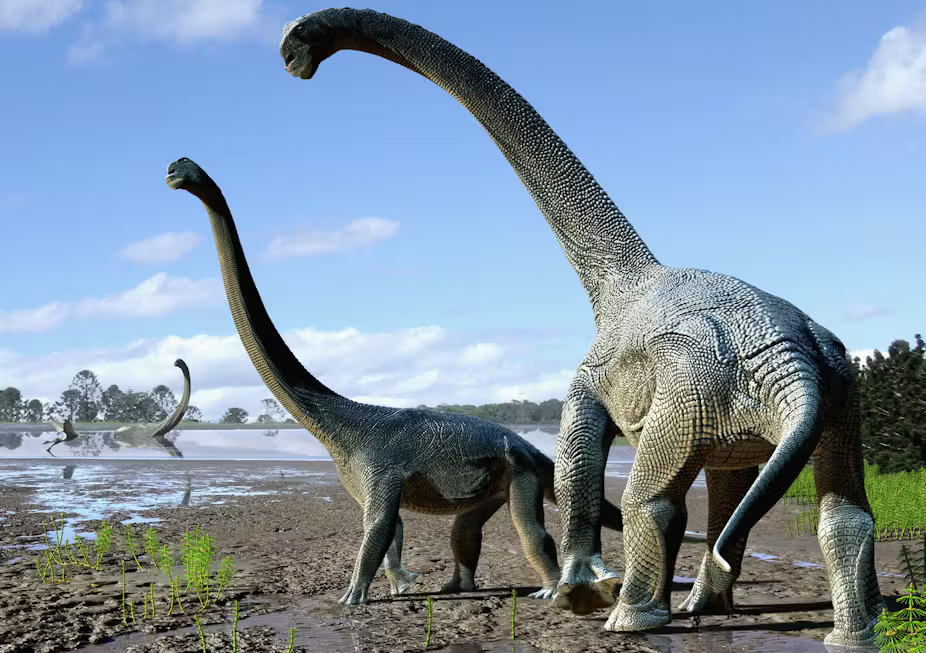 Titanosaur